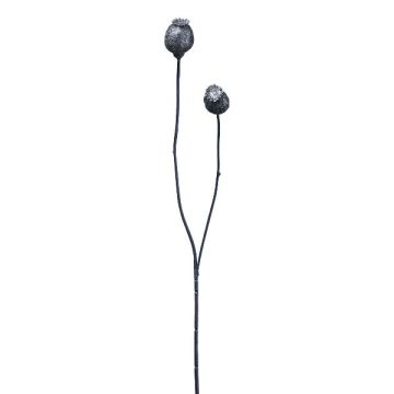 Ramo artificiale con capsule di papavero ORIONLA, blu scuro, 65cm, Ø3,5-4cm Ramo artificiale con capsule di papavero ORIONLA, blu scuro, 65cm, Ø3,5-4cm