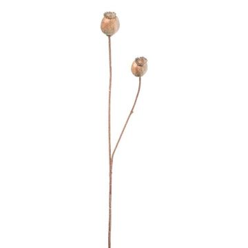 Ramo artificiale con capsule di papavero ORIONLA, marrone chiaro, 65 cm, Ø 3,5-4 cm Ramo artificiale con capsule di papavero ORIONLA, marrone chiaro, 65 cm, Ø 3,5-4 cm