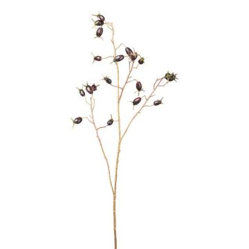 Ramo decorativo di rosa selvatica JORHEL con cinorrodi, arancione, 75cm Ramo decorativo di rosa selvatica JORHEL con cinorrodi, arancione, 75cm
