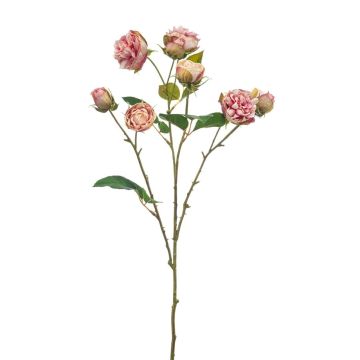 Ramo decorativo rosa cavolo TRUVOL, rosa-crema, 65 cm, Ø 2-6 cm Ramo decorativo rosa cavolo TRUVOL, rosa-crema, 65 cm, Ø 2-6 cm