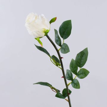 Rosa artificiale SUNJIK, color crema, 75 cm, Ø 7 cm Rosa artificiale SUNJIK, color crema, 75 cm, Ø 7 cm