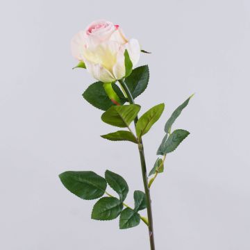 Rosa artificiale SUNJIK, rosa-crema, 75 cm, Ø 7 cm Rosa artificiale SUNJIK, rosa-crema, 75 cm, Ø 7 cm
