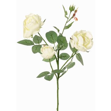 Ramo di rosa artificiale DIAMANTIS, color crema, 70 cm, Ø 5-8 cm