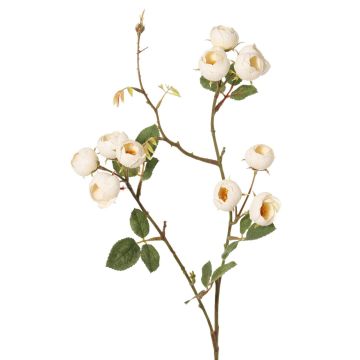 Ramo di rose cavolo artificiali LORRAINE, Eco Collection, crema-giallo, 60cm, Ø3cm Ramo di rose cavolo artificiali LORRAINE, Eco Collection, crema-giallo, 60cm, Ø3cm