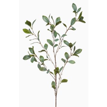 Ramo decorativo di eucalipto MERKAN, verde-grigio, 90cm Ramo decorativo di eucalipto MERKAN, verde-grigio, 90cm