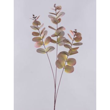 Eucalipto artificiale ERINDALS, verde-bordeaux, 90 cm Eucalipto artificiale ERINDALS, verde-bordeaux, 90 cm