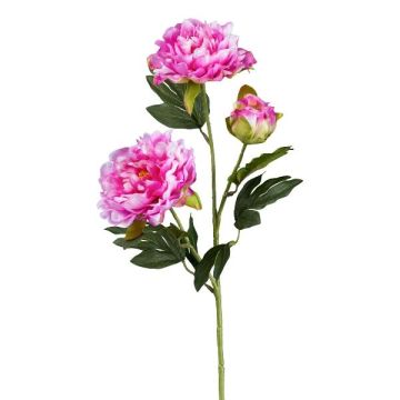 Ramo artificiale di peonia SLORMEK, cerise, 65 cm Ramo artificiale di peonia SLORMEK, cerise, 65 cm