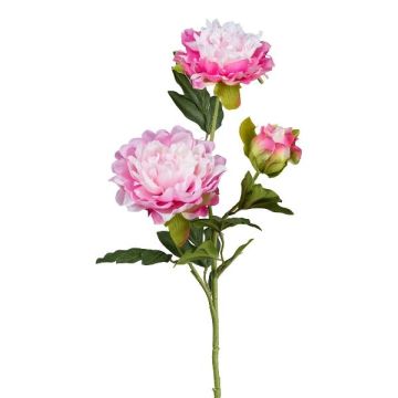 Ramo artificiale di peonia SLORMEK, rosa-bianco, 65 cm Ramo artificiale di peonia SLORMEK, rosa-bianco, 65 cm