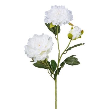 Ramo artificiale di peonia SLORMEK, bianco, 65 cm