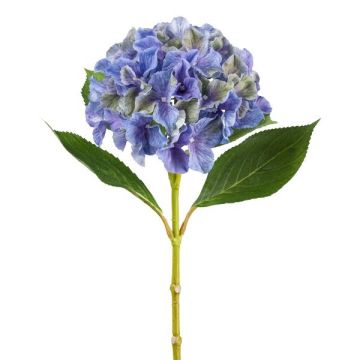 Fiore decorativo ortensia FUSTRAL, blu-verde, 65 cm, Ø 18 cm Fiore decorativo ortensia FUSTRAL, blu-verde, 65 cm, Ø 18 cm