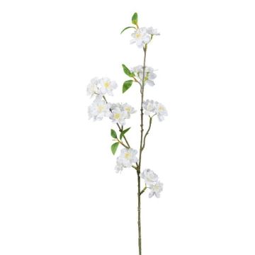Ramo decorativo di ciliegio ornamentale FYNLOK con fiori, bianco, 75 cm Ramo decorativo di ciliegio ornamentale FYNLOK con fiori, bianco, 75 cm