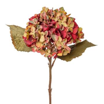 Fiore decorativo ortensia TESSENCE, verde-rosso, 45cm Fiore decorativo ortensia TESSENCE, verde-rosso, 45cm
