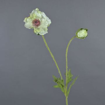 Fiore artificiale papavero MESOP, bianco-verde, 65 cm, Ø 9 cm Fiore artificiale papavero MESOP, bianco-verde, 65 cm, Ø 9 cm