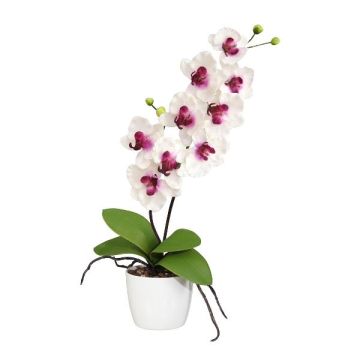 Orchidea Phalaenopsis in tessuto MORLEK, vaso in ceramica, radici, bianco-lilla, 60 cm