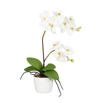 Orchidea Phalaenopsis in tessuto MORLEK, vaso in ceramica, radici, color crema, 60 cm