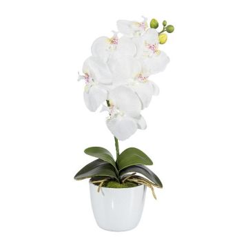 Orchidea Phalaenopsis in tessuto DRINTOR, vaso in ceramica, radici, bianca, 40cm Orchidea Phalaenopsis in tessuto DRINTOR, vaso in ceramica, radici, bianca, 40cm