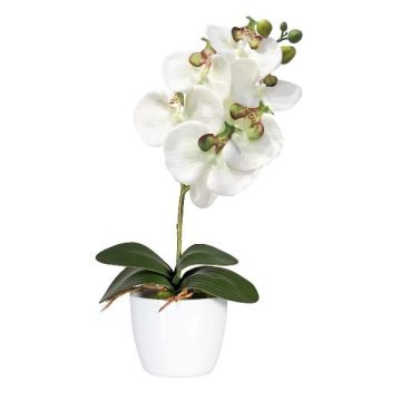 Orchidea Phalaenopsis in tessuto DRINTOR, vaso in ceramica, radici, bianco-verde, 40cm
