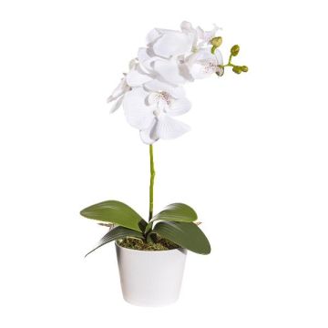 Orchidea Phalaenopsis in tessuto TRALKE, vaso decorativo, radici, bianco, 40cm