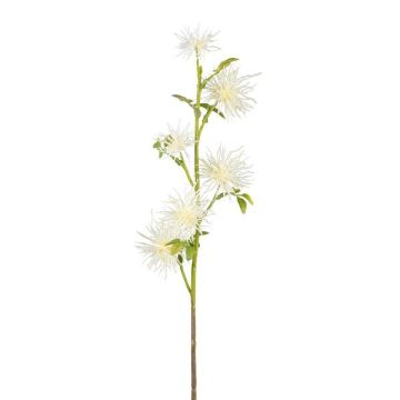 Ramo decorativo di cardo sferico ZORLIM, bianco, 55 cm Ramo decorativo di cardo sferico ZORLIM, bianco, 55 cm