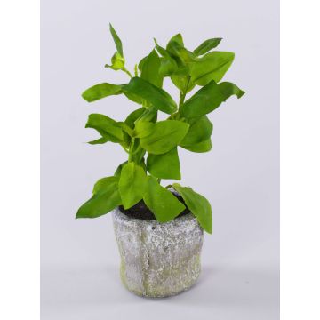 Erbe aromatiche artificiali: basilico POLINDA in vaso decorativo, verde, 26 cm