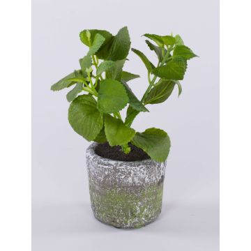 Erbe aromatiche artificiali Menta POLINDA in vaso decorativo, verde, 26 cm