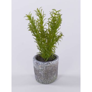 Erbe aromatiche artificiali: rosmarino POLINDA in vaso decorativo, verde, 26 cm