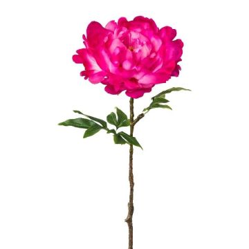 Fiore di plastica peonia GLOUT, rosa shocking, 65 cm Fiore di plastica peonia GLOUT, rosa shocking, 65 cm