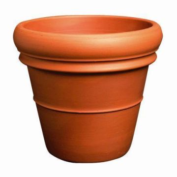 Portafiori in terracotta LUTHEN con doppio bordo, 50cm, Ø58cm