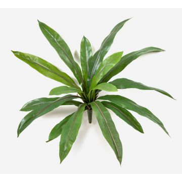 Asplenium artificiale JANE, verde, 40 cm Asplenium artificiale JANE, verde, 40 cm