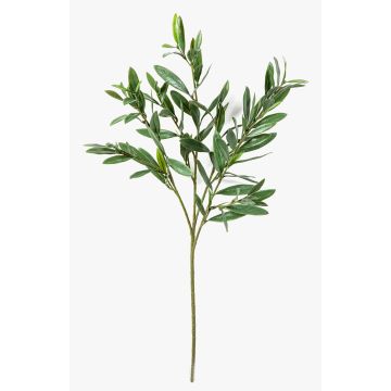 Ramo di ulivo artificiale BRANDAR, verde, 70cm Ramo di ulivo artificiale BRANDAR, verde, 70cm