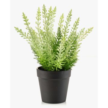 Erica sintetica ELSAWO in vaso decorativo, crossdoor, bianco-verde, 30cm