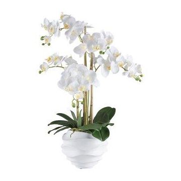 Orchidea Phalaenopsis in tessuto STONFER, bianco, radici bianche, 70cm