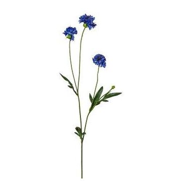 Ramo artificiale di fiordaliso FLUNK, blu, 60 cm, Ø 4-5 cm Ramo artificiale di fiordaliso FLUNK, blu, 60 cm, Ø 4-5 cm