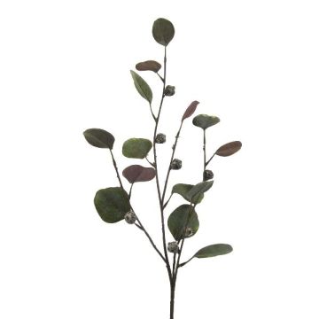 Ramo artificiale di eucalipto TRAVON con frutti, verde, 75 cm Ramo artificiale di eucalipto TRAVON con frutti, verde, 75 cm