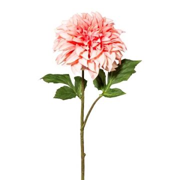 Fiore artificiale dalia TRIMK, rosa-pesca, 55 cm, Ø 15 cm Fiore artificiale dalia TRIMK, rosa-pesca, 55 cm, Ø 15 cm