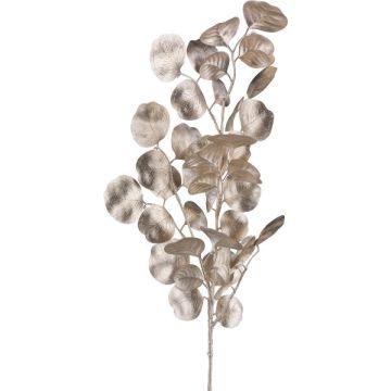 Ramo decorativo di eucalipto DRAVEL, champagne, 75cm