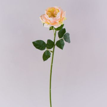 Rosa artificiale GINAKAL, albicocca, 65 cm Rosa artificiale GINAKAL, albicocca, 65 cm
