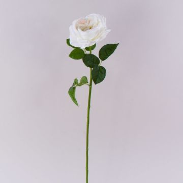 Rosa artificiale GINAKAL, bianco crema, 65 cm Rosa artificiale GINAKAL, bianco crema, 65 cm