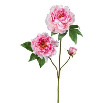 Ramo artificiale di peonia BROLI, rosa, 80 cm Ramo artificiale di peonia BROLI, rosa, 80 cm