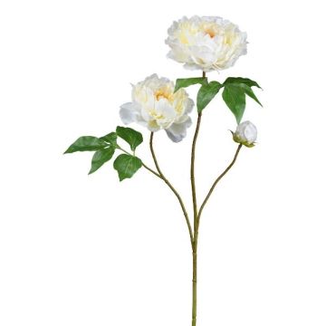Ramo artificiale di peonia BROLI, color crema, 80 cm Ramo artificiale di peonia BROLI, color crema, 80 cm