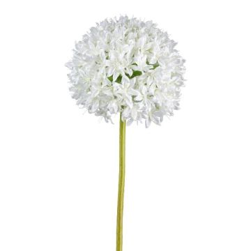 Fiore artificiale Allium KLATE, bianco, 90cm, Ø15cm Fiore artificiale Allium KLATE, bianco, 90cm, Ø15cm