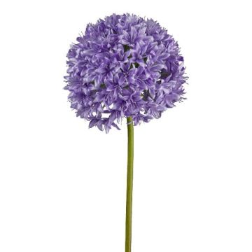 Fiore artificiale Allium KLATE, lilla, 90 cm, Ø 15 cm Fiore artificiale Allium KLATE, lilla, 90 cm, Ø 15 cm
