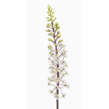 Fiore artificiale candela della steppa SCHENRA, bianco-verde, 95 cm Fiore artificiale candela della steppa SCHENRA, bianco-verde, 95 cm
