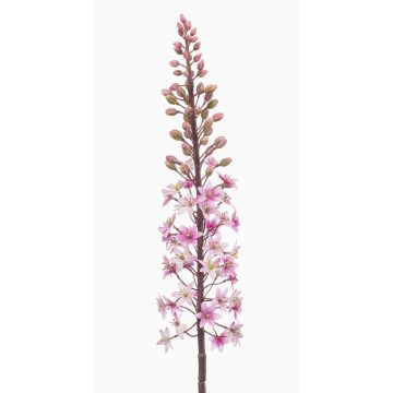 Fiore artificiale candela della steppa SCHENRA, rosa, 95 cm Fiore artificiale candela della steppa SCHENRA, rosa, 95 cm