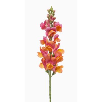 Fiore sintetico bocca di leone DAENERYS, rosa-arancione, 80cm Fiore sintetico bocca di leone DAENERYS, rosa-arancione, 80cm