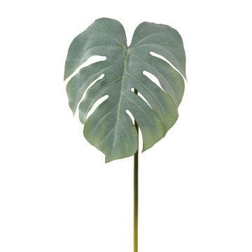 Foglia decorativa Philodendron Monstera Deliciosa MELIAT, verde-grigio, 80 cm Foglia decorativa Philodendron Monstera Deliciosa MELIAT, verde-grigio, 80 cm
