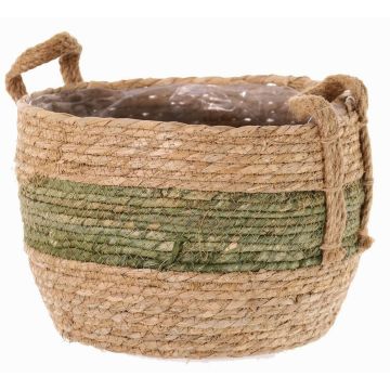 Vaso da fiori in vimini UPALI, alghe marine intrecciate, 2 manici, beige-verde, 19cm, Ø24cm Vaso da fiori in vimini UPALI, alghe marine intrecciate, 2 manici, beige-verde, 19cm, Ø24cm