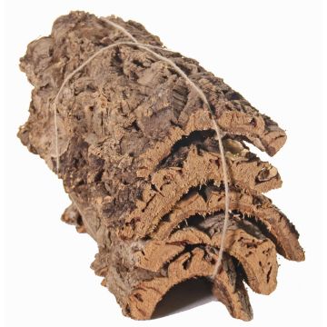 Corteccia di sughero naturale a pezzi DIANTHA, 5 pezzi, marrone, 50x25cm Corteccia di sughero naturale a pezzi DIANTHA, 5 pezzi, marrone, 50x25cm