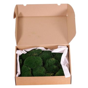 Muschio piatto vero DIMITRA, verde, 800 g, 0,15 m² Muschio piatto vero DIMITRA, verde, 800 g, 0,15 m²