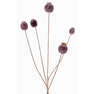 Capsula di papavero sintetica FILOMELA, marrone scuro, 75cm, Ø2-3,5cm Capsula di papavero sintetica FILOMELA, marrone scuro, 75cm, Ø2-3,5cm